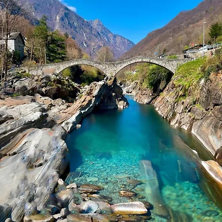 One Only Losone