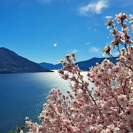 One Only * Losone