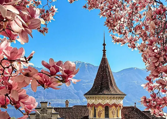 Lejlighed One Only Losone